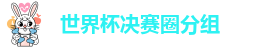 世界杯决赛圈分组